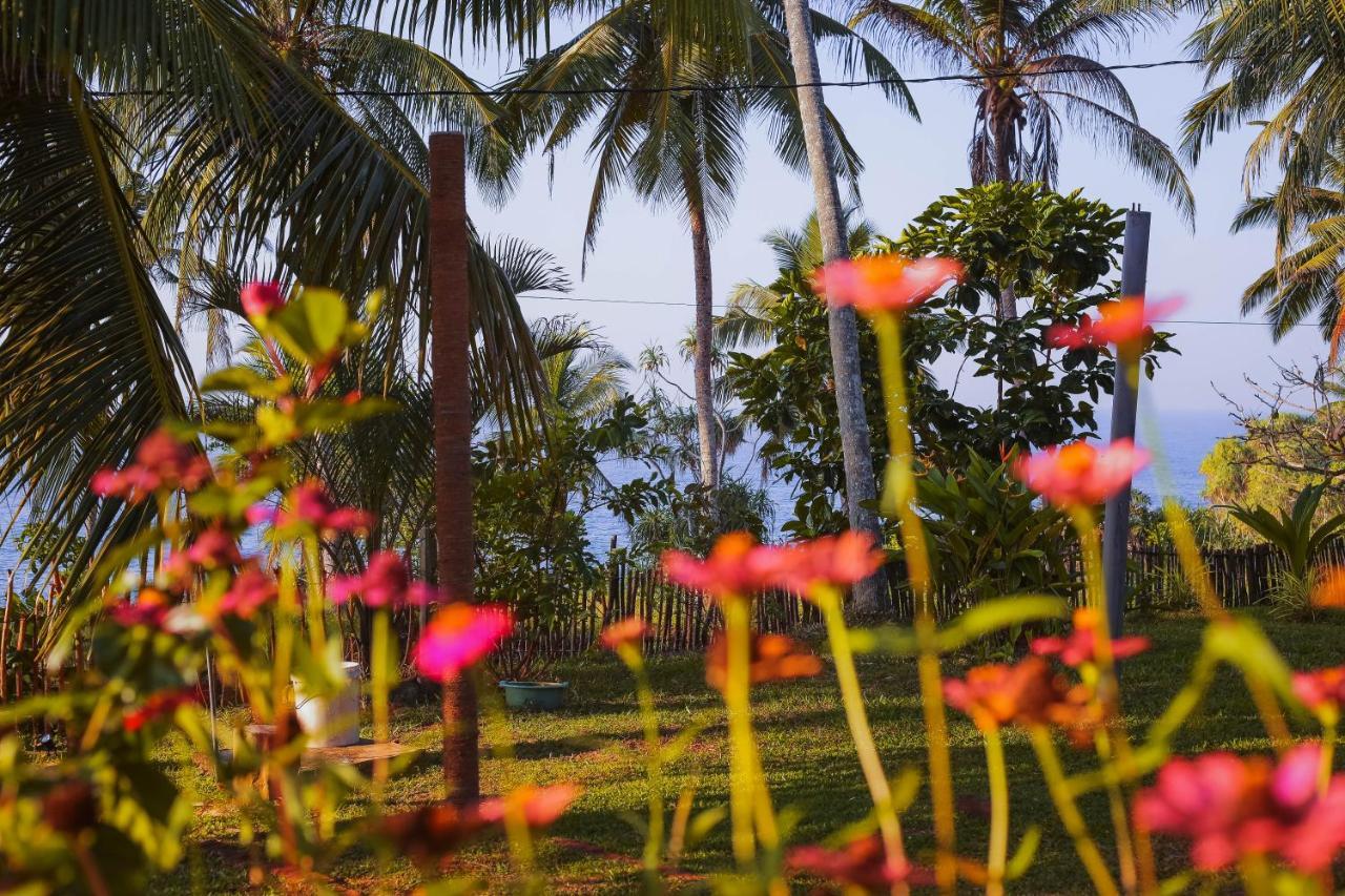 Tehan Homestay ديكويلاّ تين المظهر الخارجي الصورة